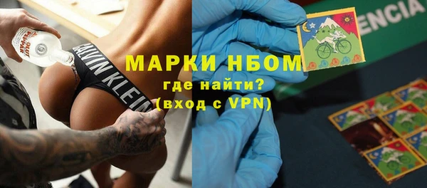 прущие грибы Михайловка