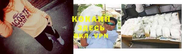 прущие грибы Михайловка