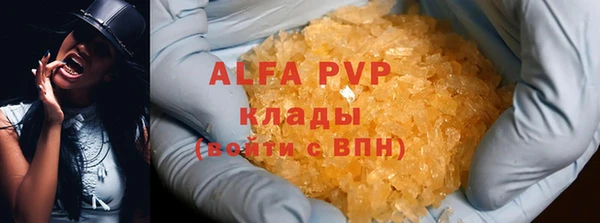 прущие грибы Михайловка