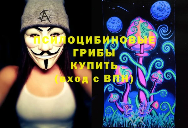 spice Михайловск