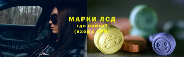 спайс Михайлов