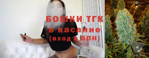 прущие грибы Михайловка